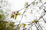 DSC05890-2.JPG