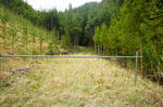 DSC05891-2.JPG