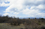 DSC05913-2.JPG