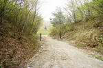DSC05920-2.JPG