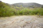 DSC05919-2.JPG