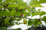DSC06072-2.JPG