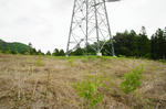 DSC06097-2.JPG