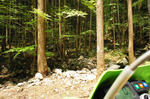 DSC06098-2.JPG