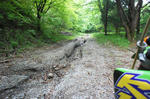 DSC06105-2.JPG