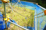 DSC06114-2.JPG