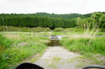 DSC06130-2.JPG