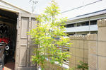 DSC06133-2.JPG
