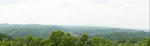 DSC06244-2.JPG