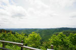 DSC06294-2.JPG