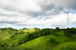 DSC06302-2.JPG