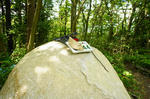 DSC06407-2.JPG