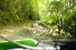 DSC06414-2.JPG