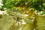 DSC06415-2.JPG