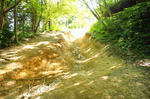 DSC06417-2.JPG