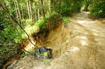 DSC06419-2.JPG