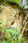 DSC06418-2.JPG