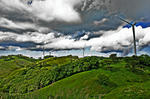 DSC06302-2-2.JPG