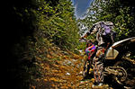 DSC02480_2-2.JPG