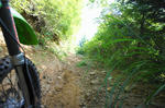 DSC06690-2.JPG