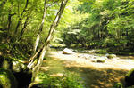 DSC06691-2.JPG