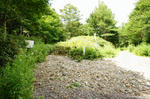 DSC06697-2.JPG