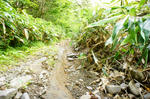 DSC06699-2.JPG