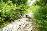 DSC06703-2.JPG