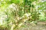 DSC06831-2.JPG