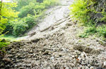 DSC06832-2.JPG