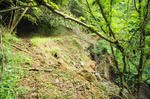 DSC06833-2.JPG