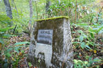 DSC06977-2.JPG