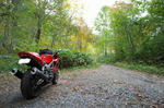 DSC06978-2.JPG