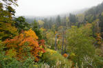 DSC06979-2.JPG