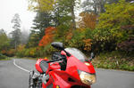 DSC06983-2.JPG
