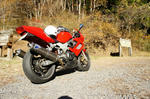 DSC07462-2.JPG