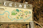 DSC07463-2.JPG