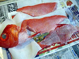 k009oroshi.jpg