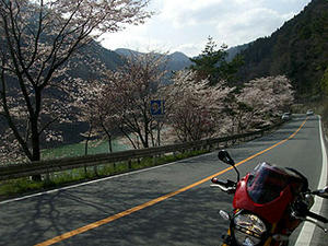 030lakemon.jpg
