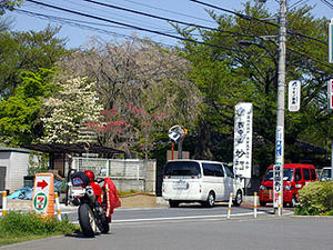 001nyofukuji.jpg