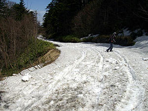 030allsnow.jpg