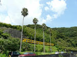 P1050290.jpg