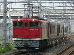 8073ef9e.jpeg