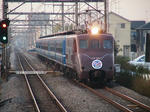 504c82ea.jpg