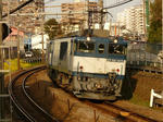 P1080567.jpg