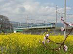 P1080736.jpg