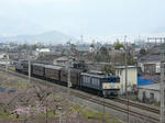 P1080787-k.jpg