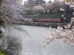 P1080884-k.jpg
