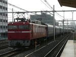 P1090218.jpg