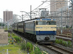 P1090364.jpg